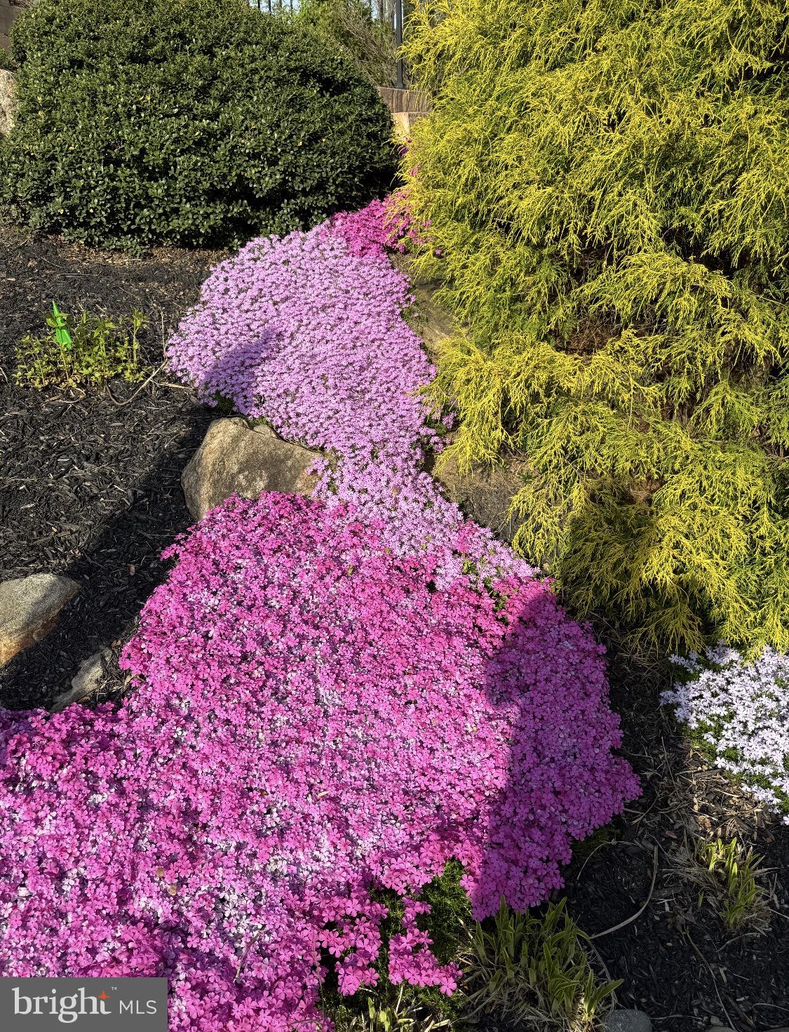 104 Indian Springs Road Kennett Square, PA 19348 - Photo 95 of 106 Vibrant blooms in springtime hues.