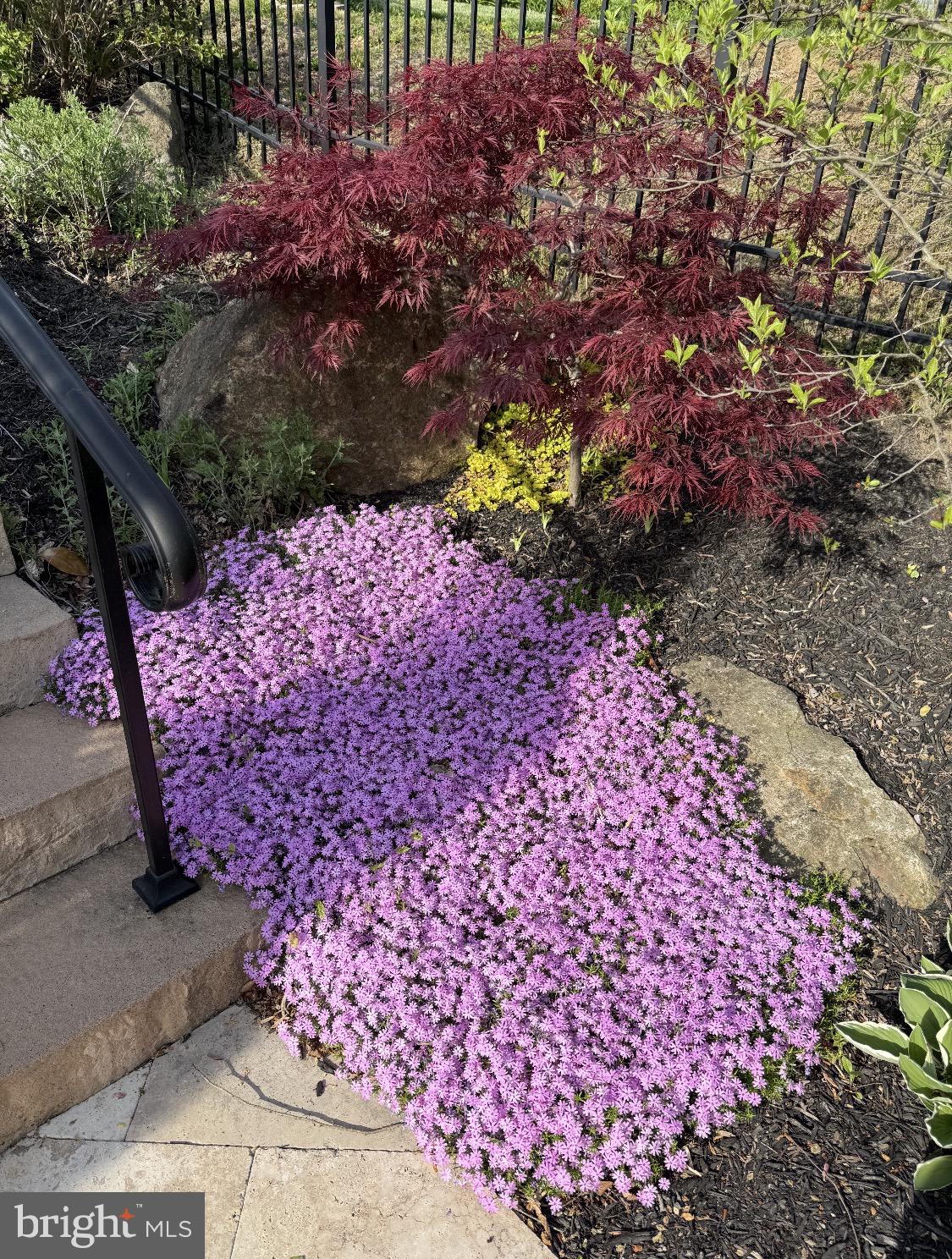 104 Indian Springs Road Kennett Square, PA 19348 - Photo 96 of 106 Vibrant blooms greet the pathway.