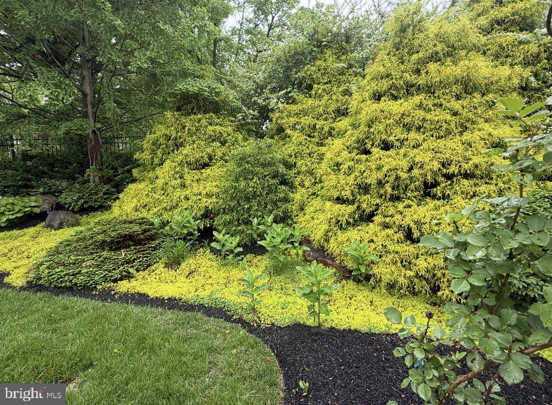 104 Indian Springs Road Kennett Square, PA 19348 - Photo 97 of 106 a view of a yard with plants