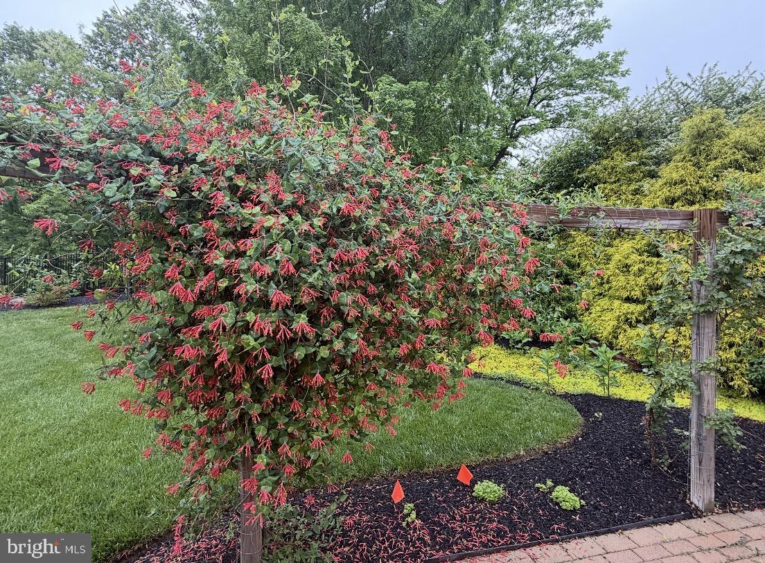 104 Indian Springs Road Kennett Square, PA 19348 - Photo 98 of 106 a view of a garden with flowers