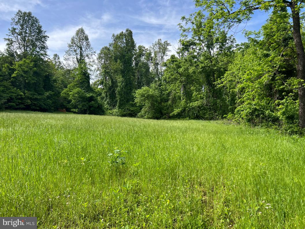 Stony Point Pass Keswick, VA 22947 - Photo 15 of 15 a view of a garden with a tree