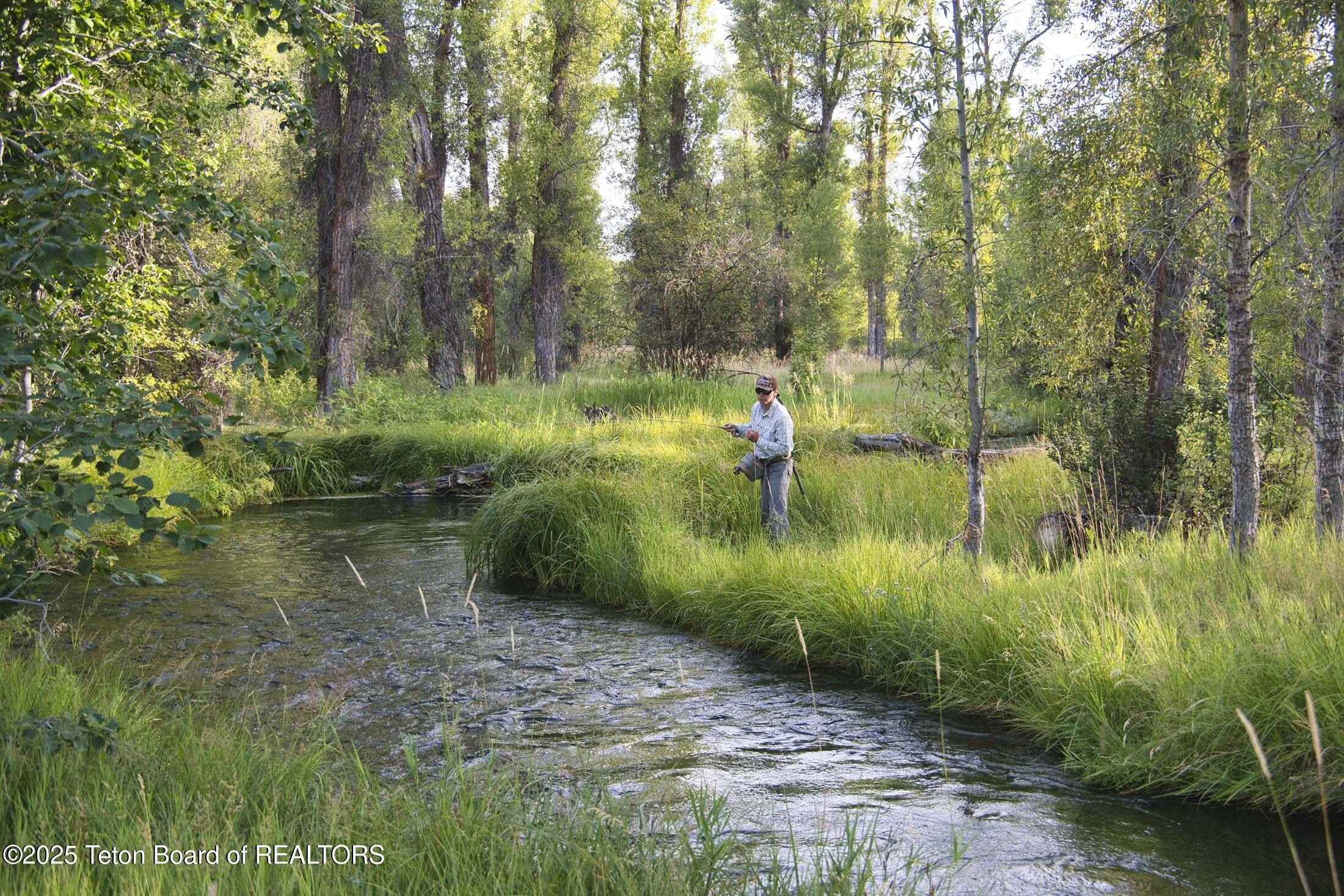 55 South Ely Springs Road Jackson, WY 83001 - Photo 11 of 69 ely-springs-real-estate-jackson-hole-wy-