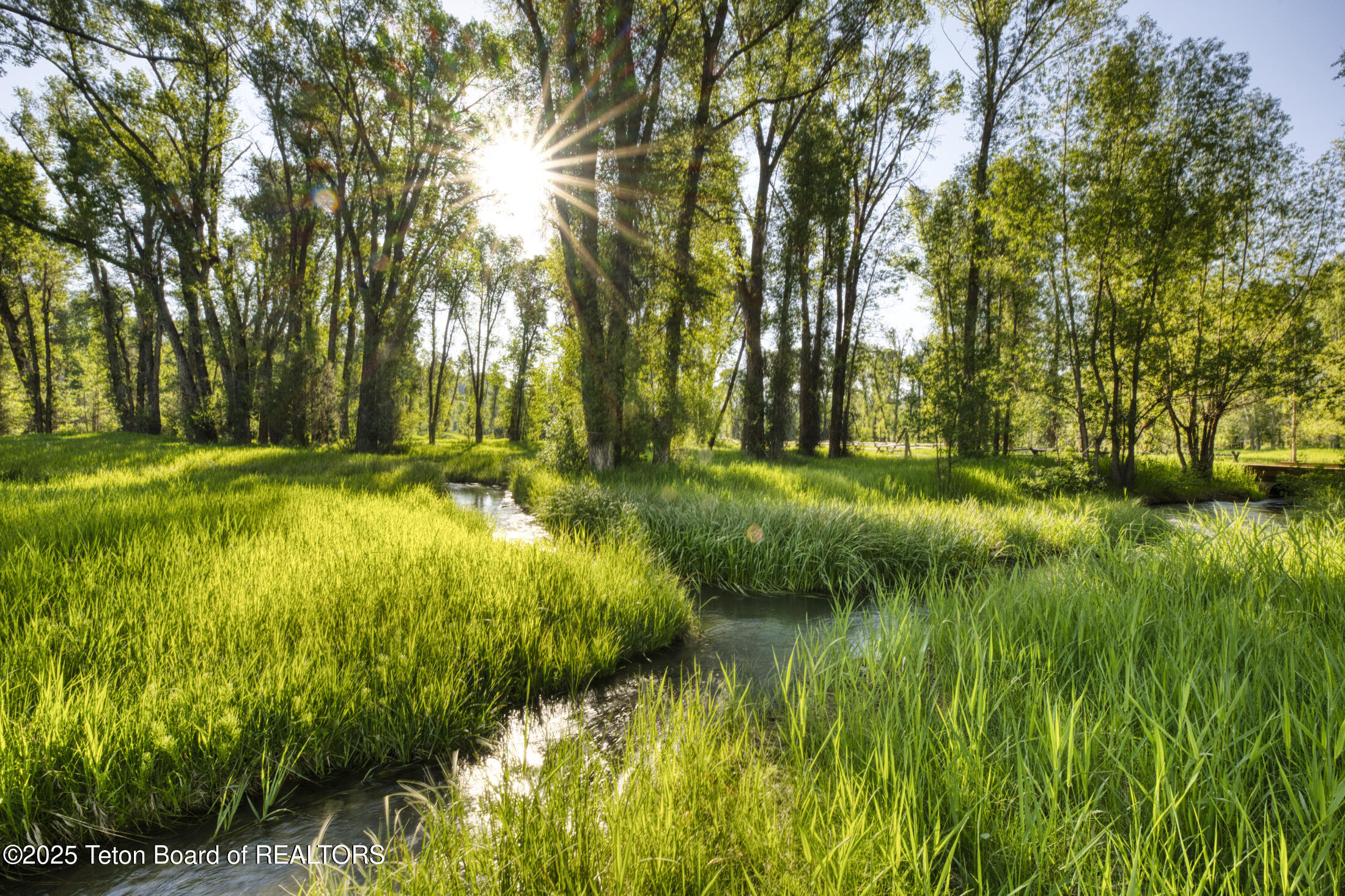 55 South Ely Springs Road Jackson, WY 83001 - Photo 5 of 69 _DSC7949_HDR