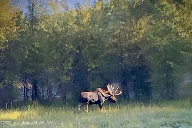 $39,950,000 | 55 South Ely Springs Road, Jackson, WY 83001