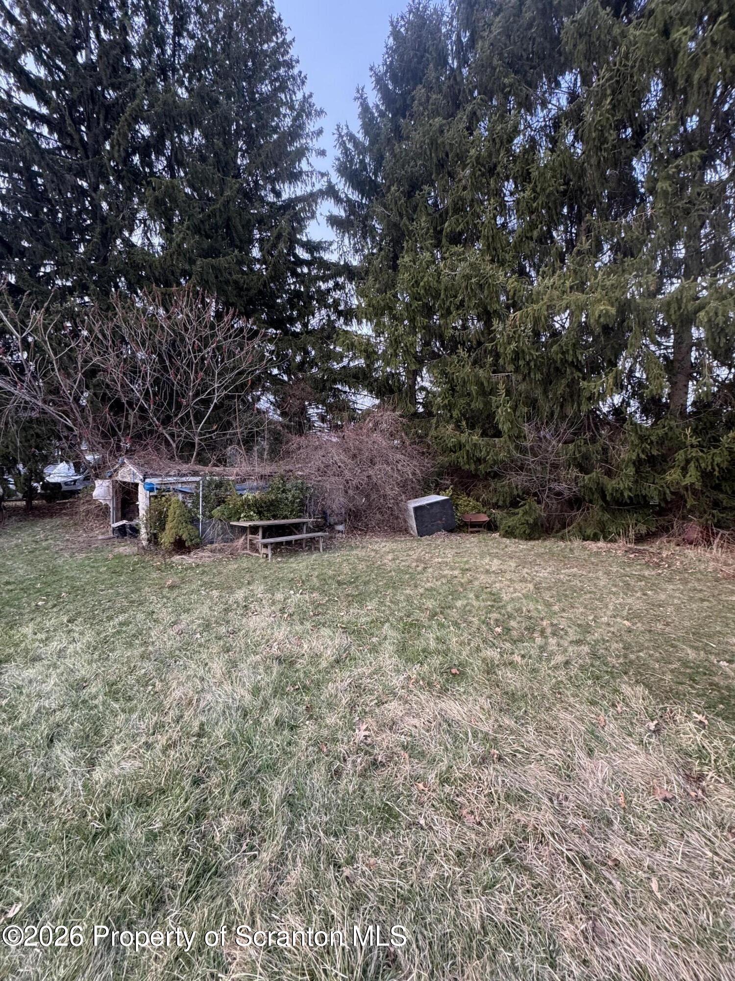 173 South Main Street Archbald, PA 18403 - Photo 4 of 6 a view of a dry yard with trees