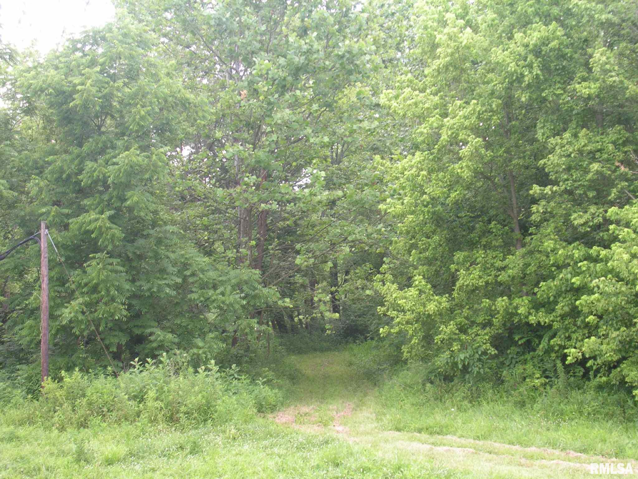 14755 Pittsburg Road Marion, IL 62959 - Photo 6 of 12