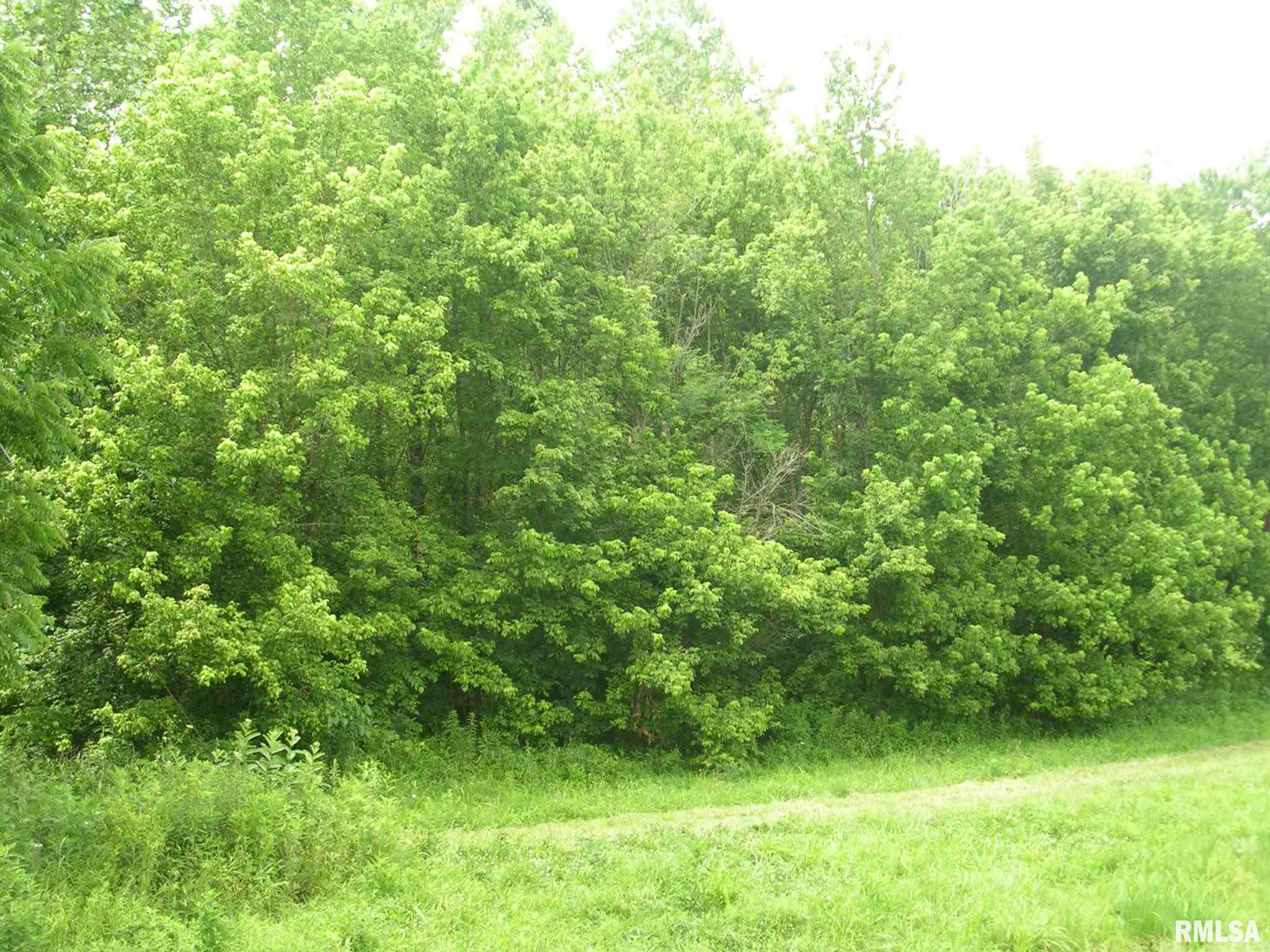 14755 Pittsburg Road Marion, IL 62959 - Photo 8 of 12