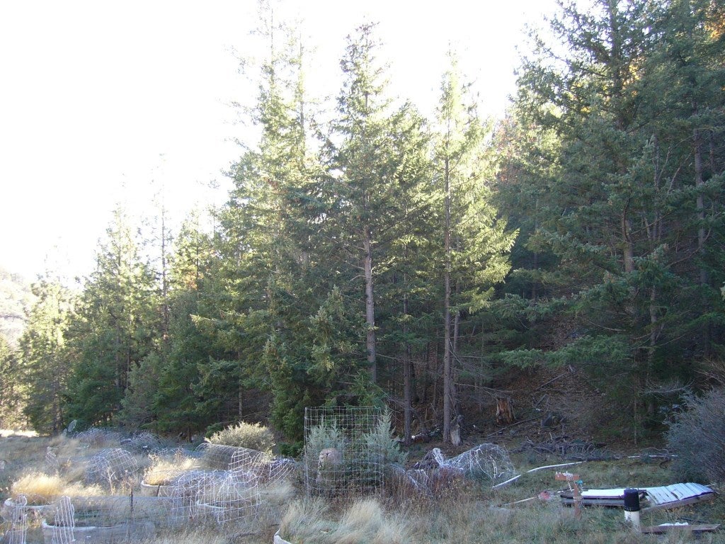 20 Acres Scarface Road Gazelle, CA 96034 - Photo 32 of 34 Gallery Image 32