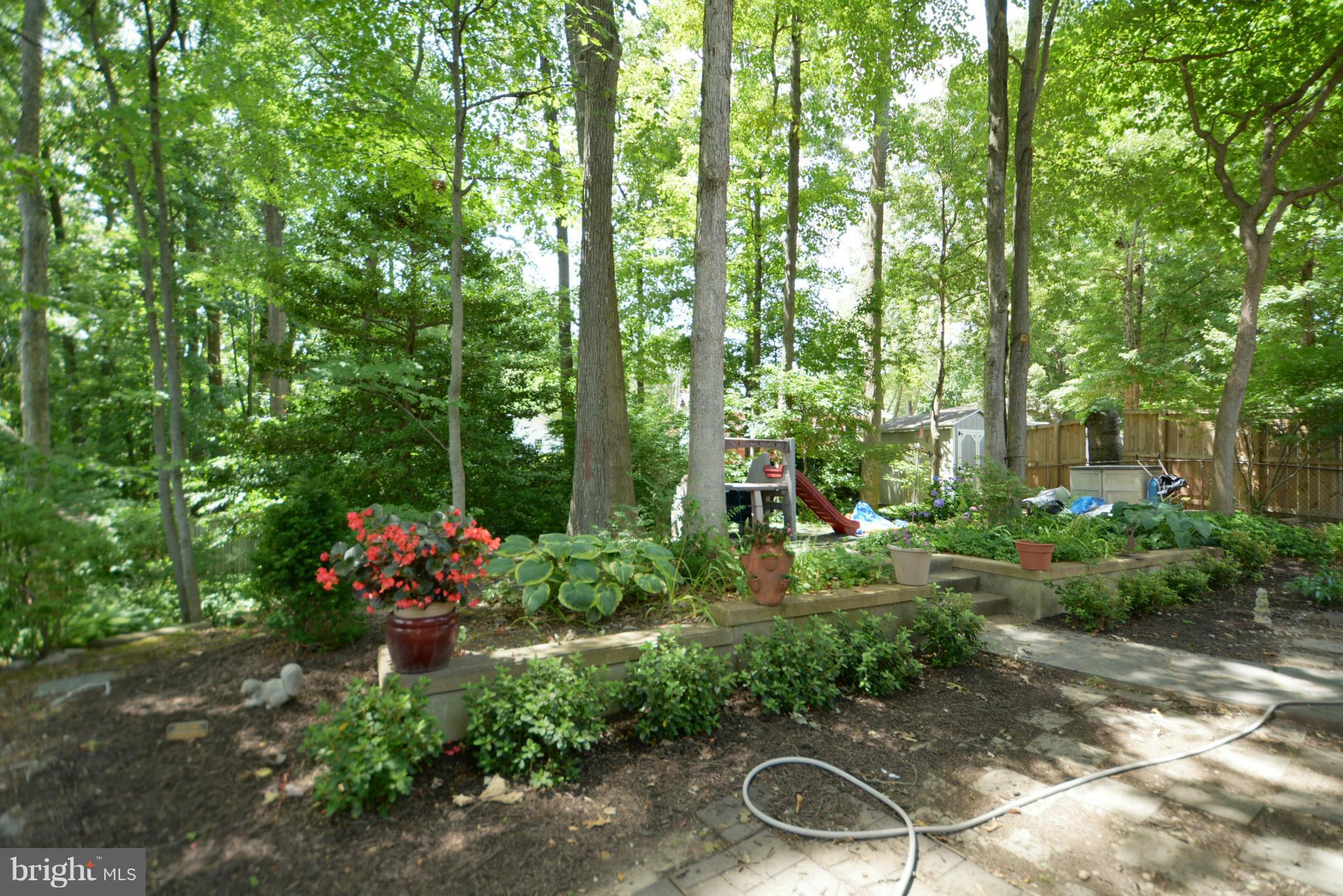 6326 Alberta Street Springfield, VA 22152 - Photo 27 of 30 Exterior (General)