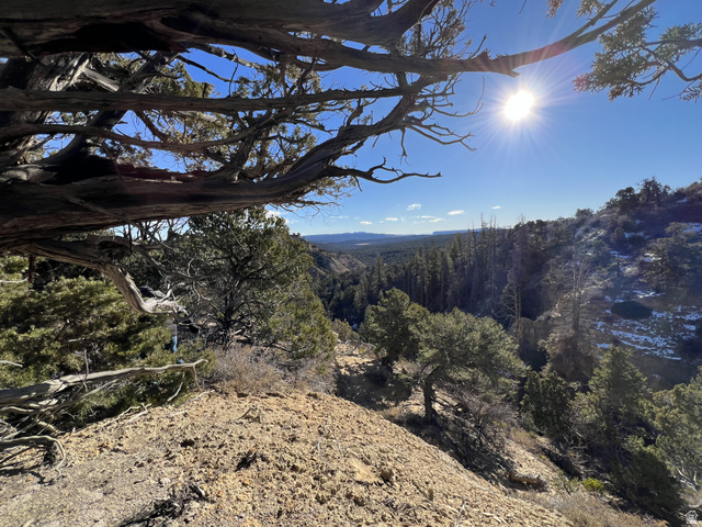 38 Broken Branch Road, Unit 38 Kanab, UT 84741 - Photo 35 of 53 Expansive natural landscape featuring varied terrain, scattered evergreen trees, and distant tree lines under a clear sky