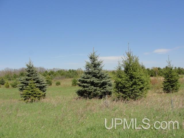 T-wi Youngs Lake Road Dunbar, WI 54119 - Photo 4 of 5