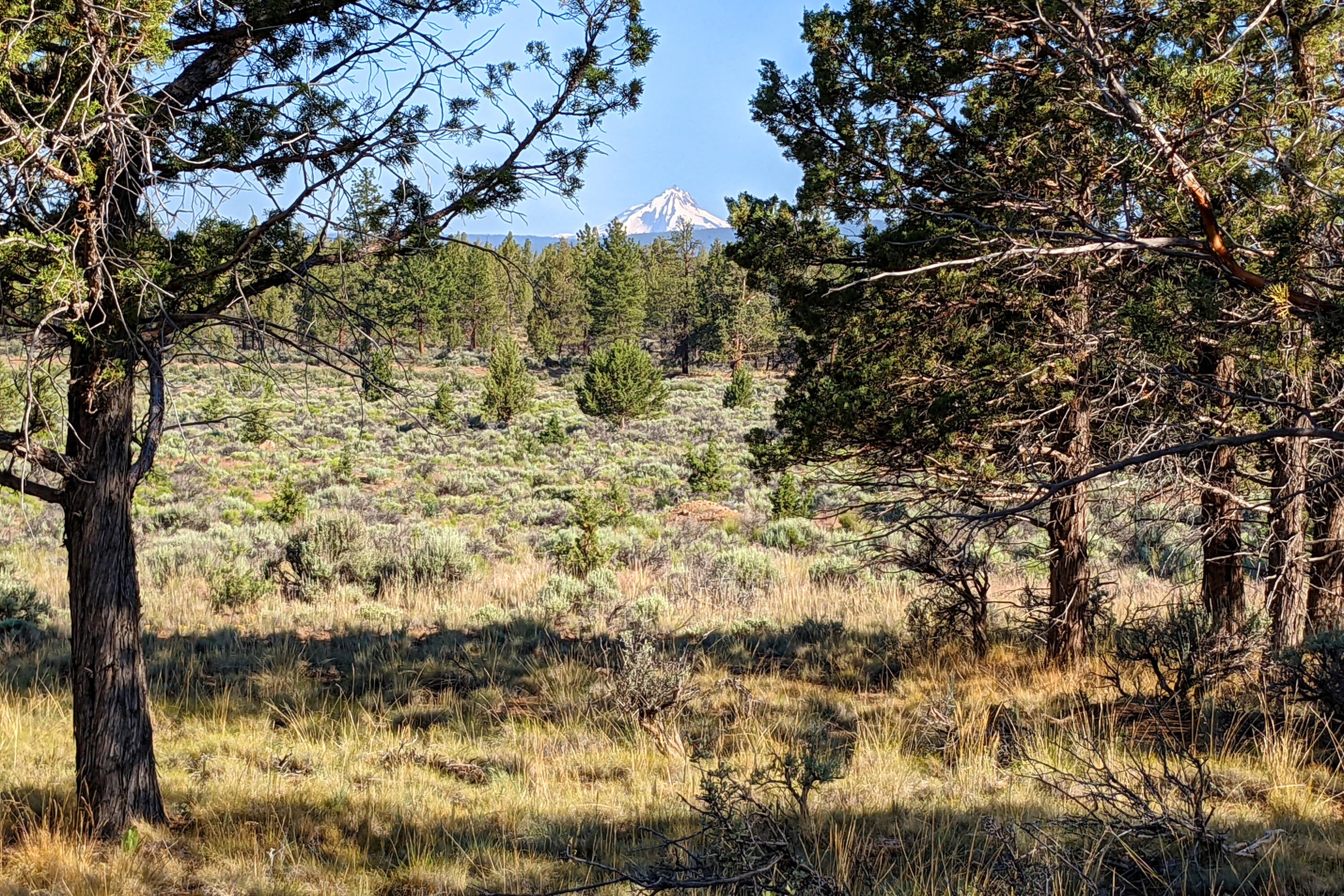 17644 Mountain View Road Sisters, OR 97759 - Photo 19 of 27 Mountains 2