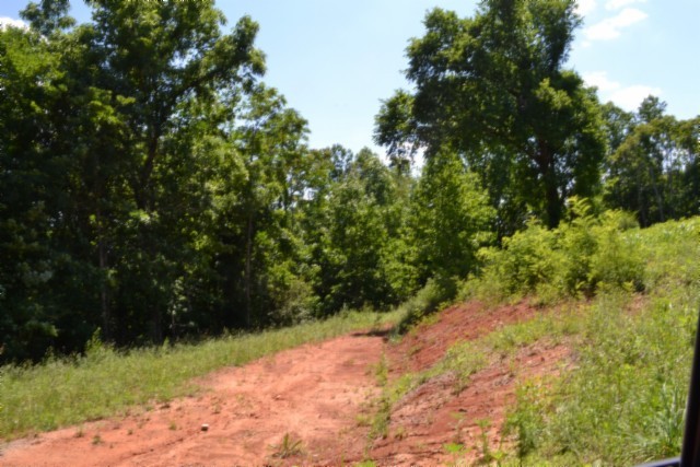 0 Pea Ridge Fire Tower Road Celina, TN 38551 - Photo 43 of 53