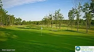 a view of a grassy field with trees