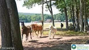 a view of swimming pool with a patio