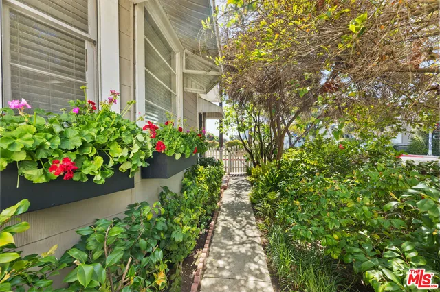 a close up of a flower in a garden