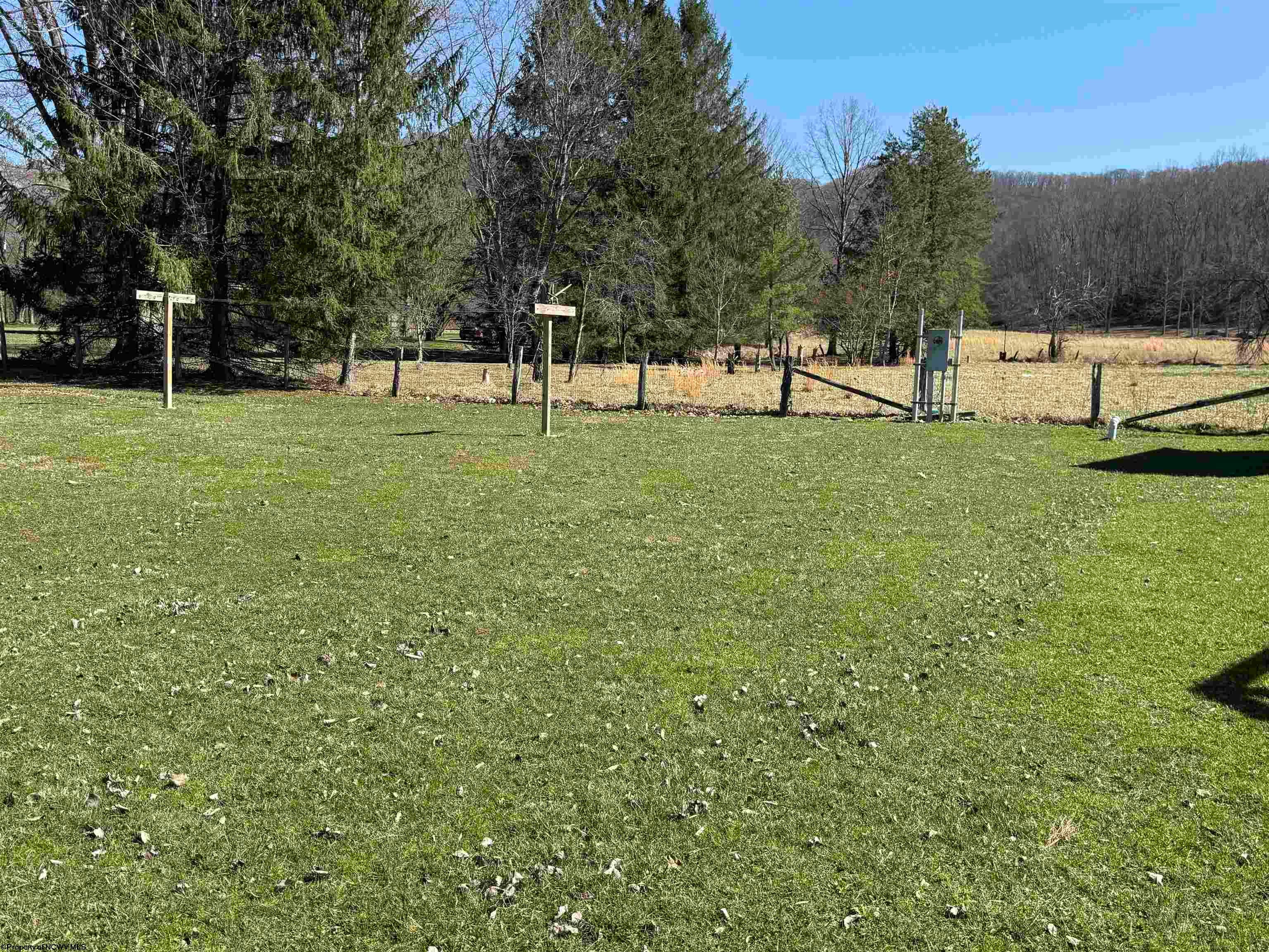 250 Bell Crouch Road Huttonsville, WV 26273 - Photo 6 of 22 Gallery Image 6