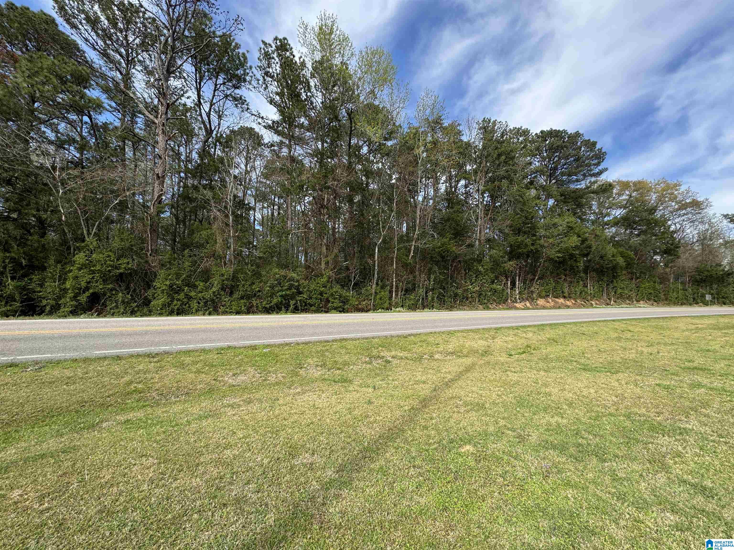 0 Ferry Road Columbiana, AL 35051 - Photo 7 of 7