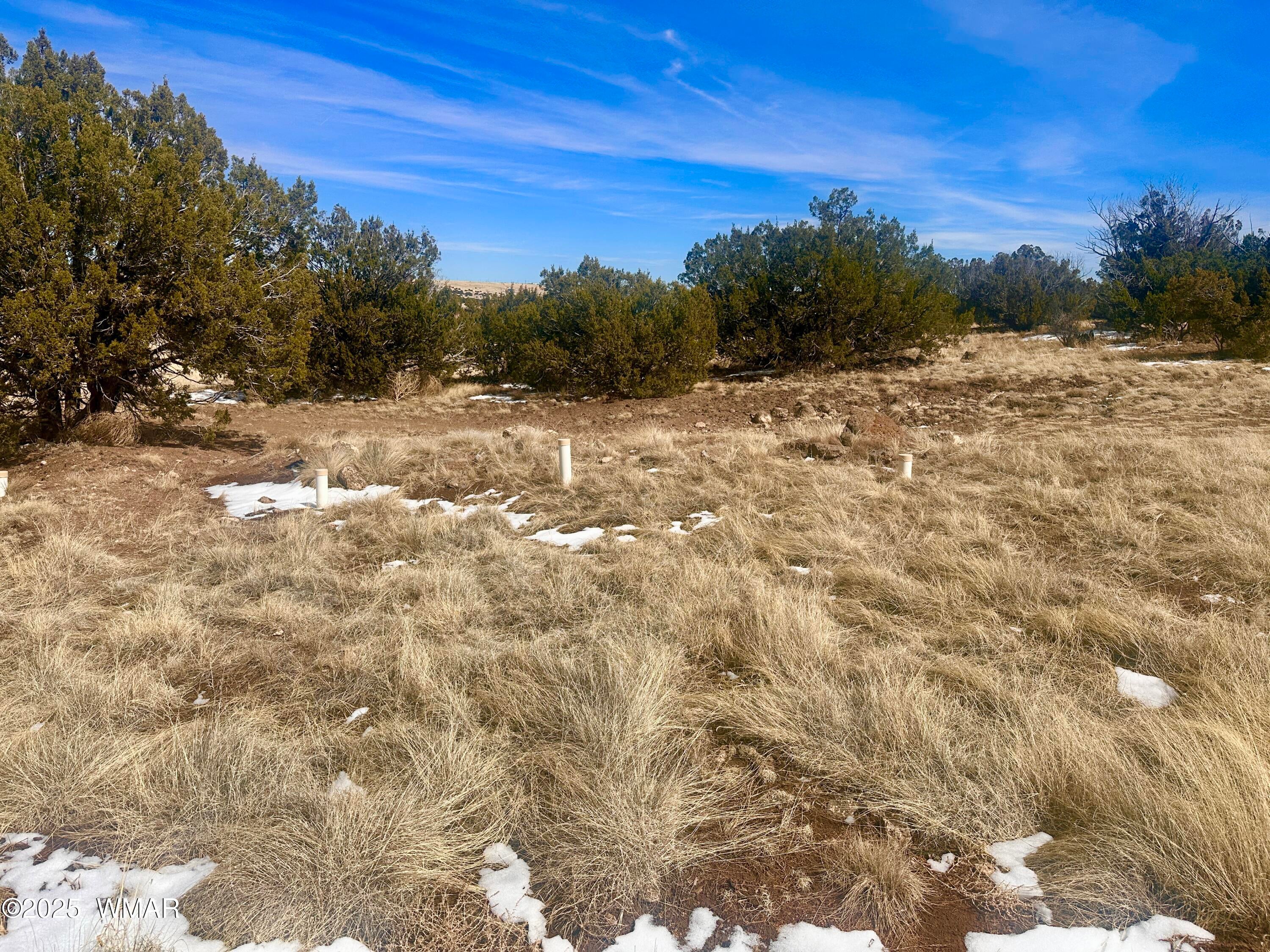 41 Antelope Road Concho, AZ 85924 - Photo 11 of 21 IMG_0008
