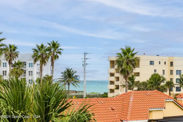 a view of a backyard with plants and palm trees