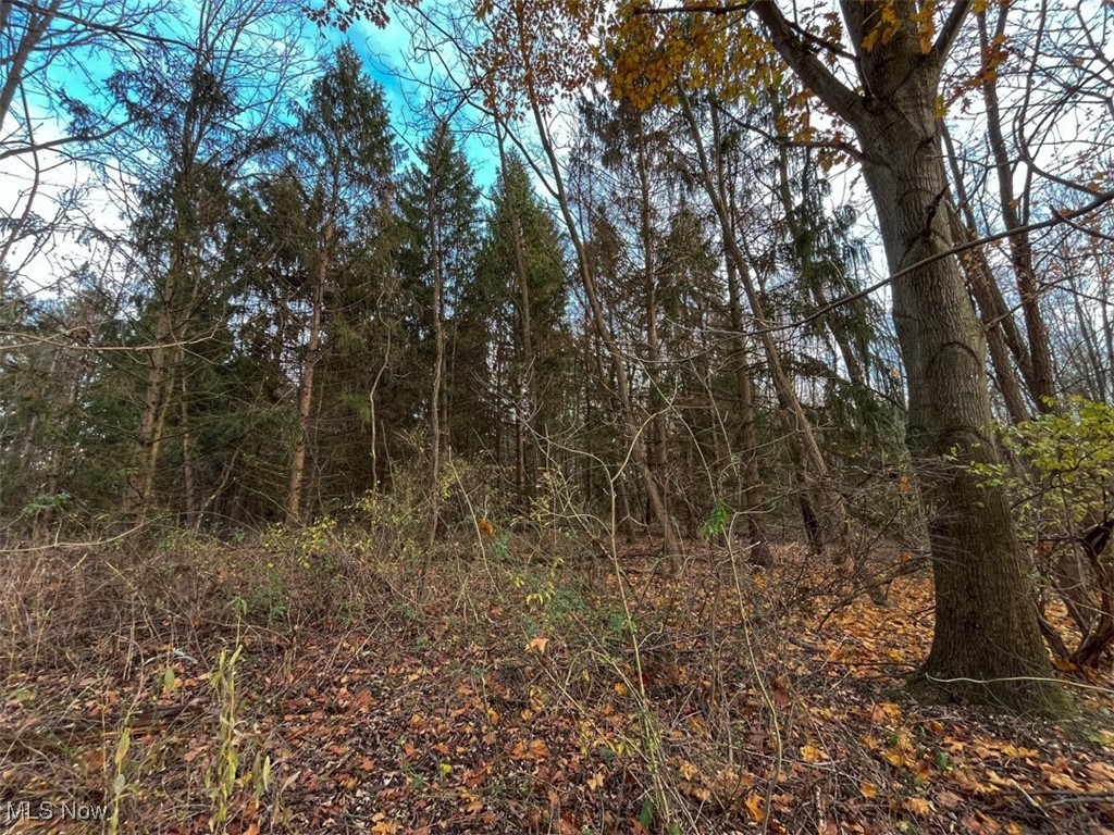 0 Harvey Circle Rittman, OH 44270 - Photo 20 of 35 View of nature