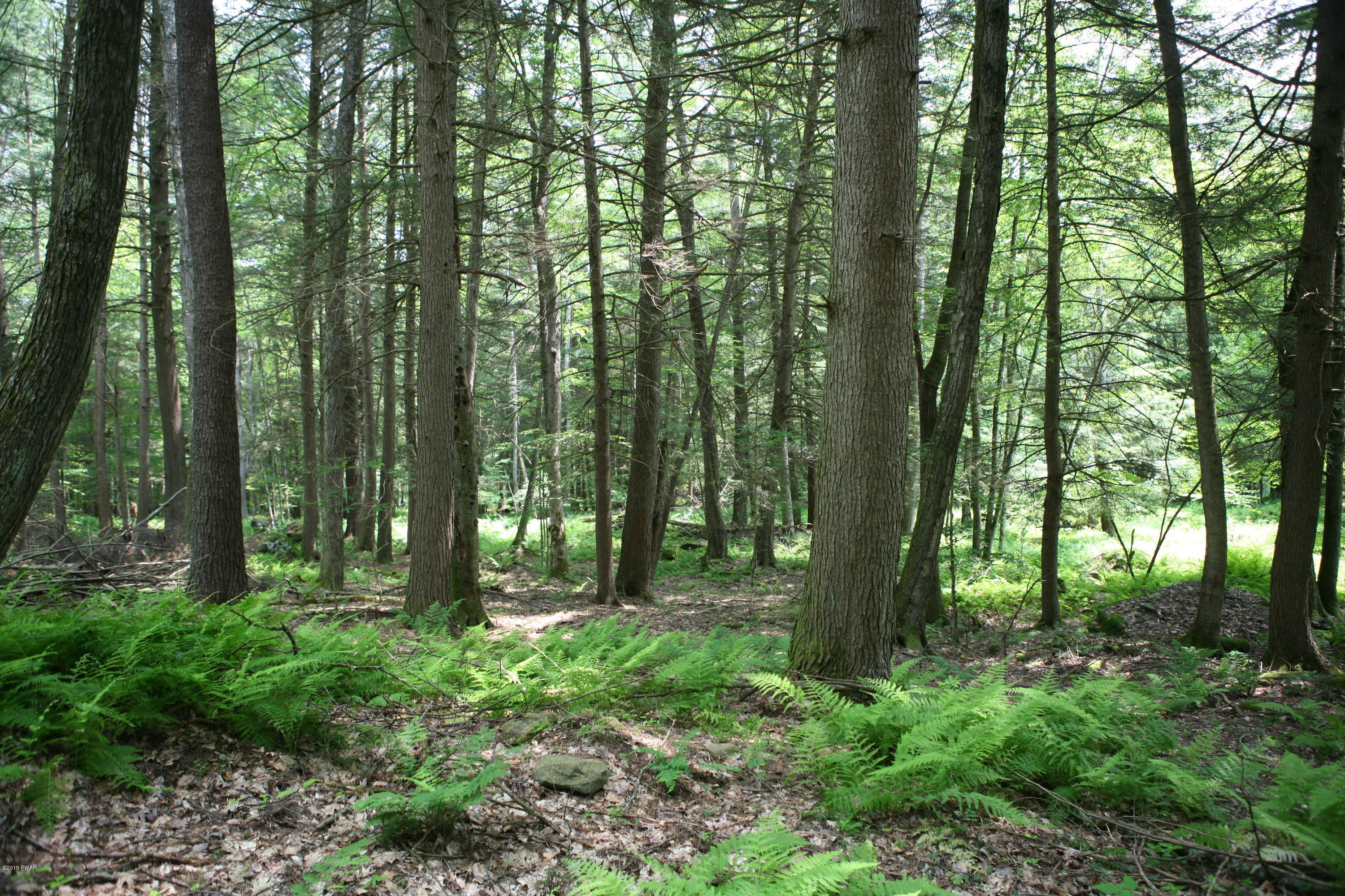 184 Paint Mine Road Damascus, PA 18415 - Photo 10 of 15