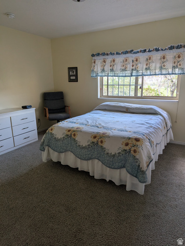 1040 West Mill Road Ferron, UT 84523 - Photo 30 of 117 Carpeted flooring, recessed lighting, and a window with a security bar