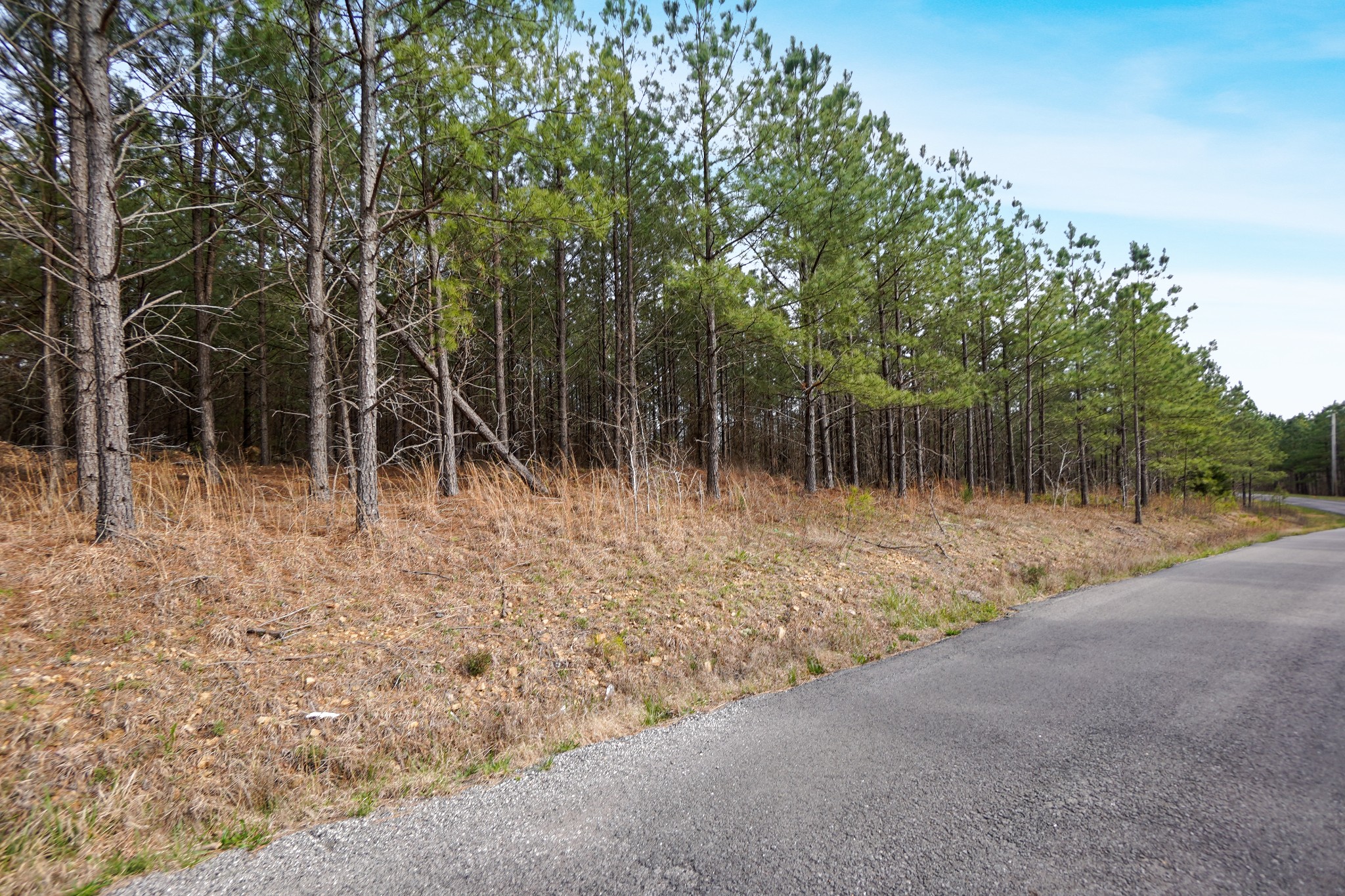 17 Ribbon Branch Road Dover, TN 37058 - Photo 1 of 11 Gallery Image 1