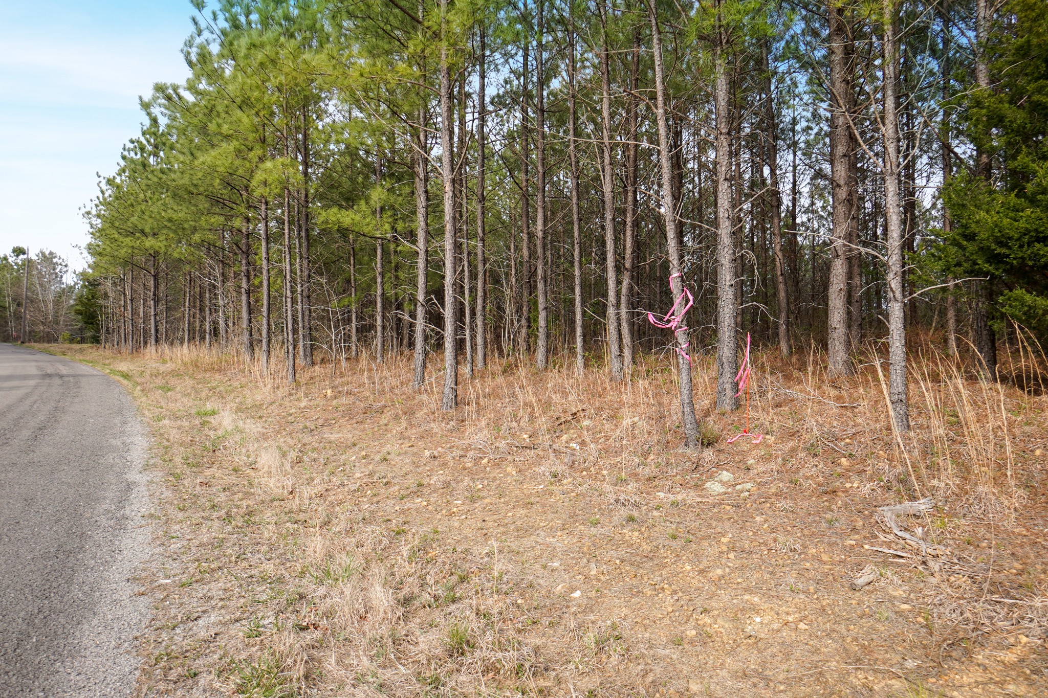 17 Ribbon Branch Road Dover, TN 37058 - Photo 3 of 11 Gallery Image 3