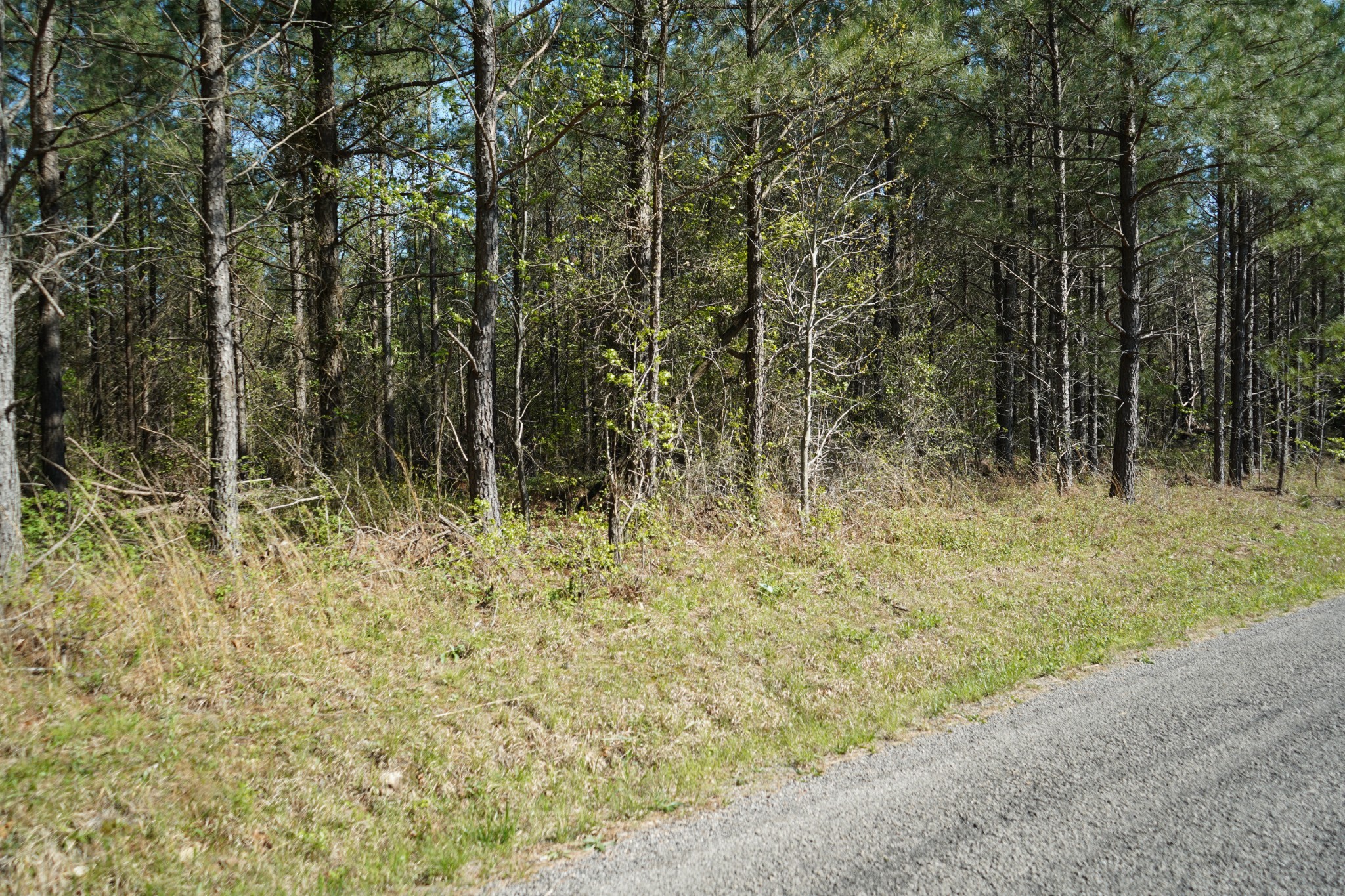17 Ribbon Branch Road Dover, TN 37058 - Photo 5 of 11 Gallery Image 5