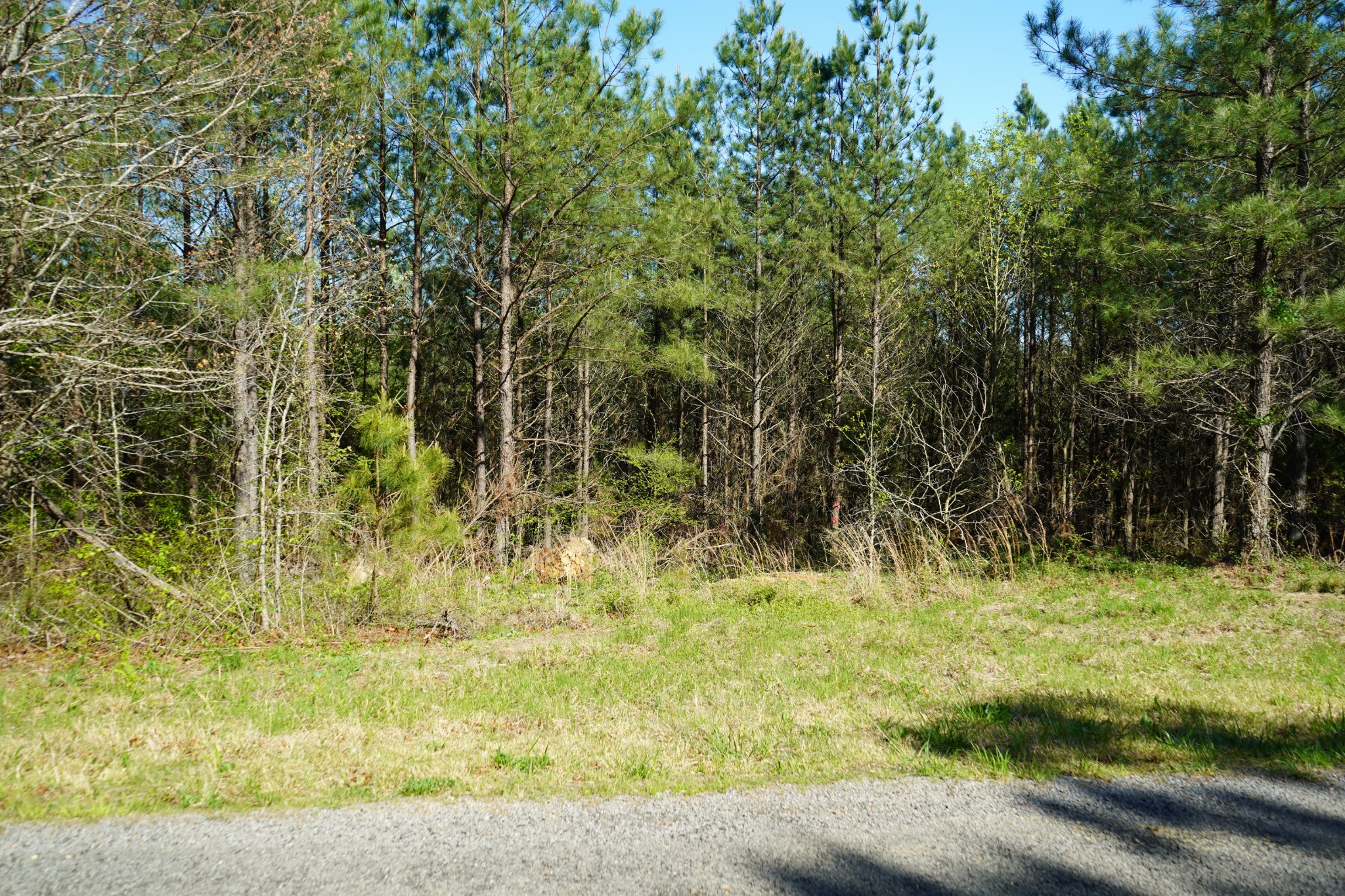 17 Ribbon Branch Road Dover, TN 37058 - Photo 6 of 11 Gallery Image 6