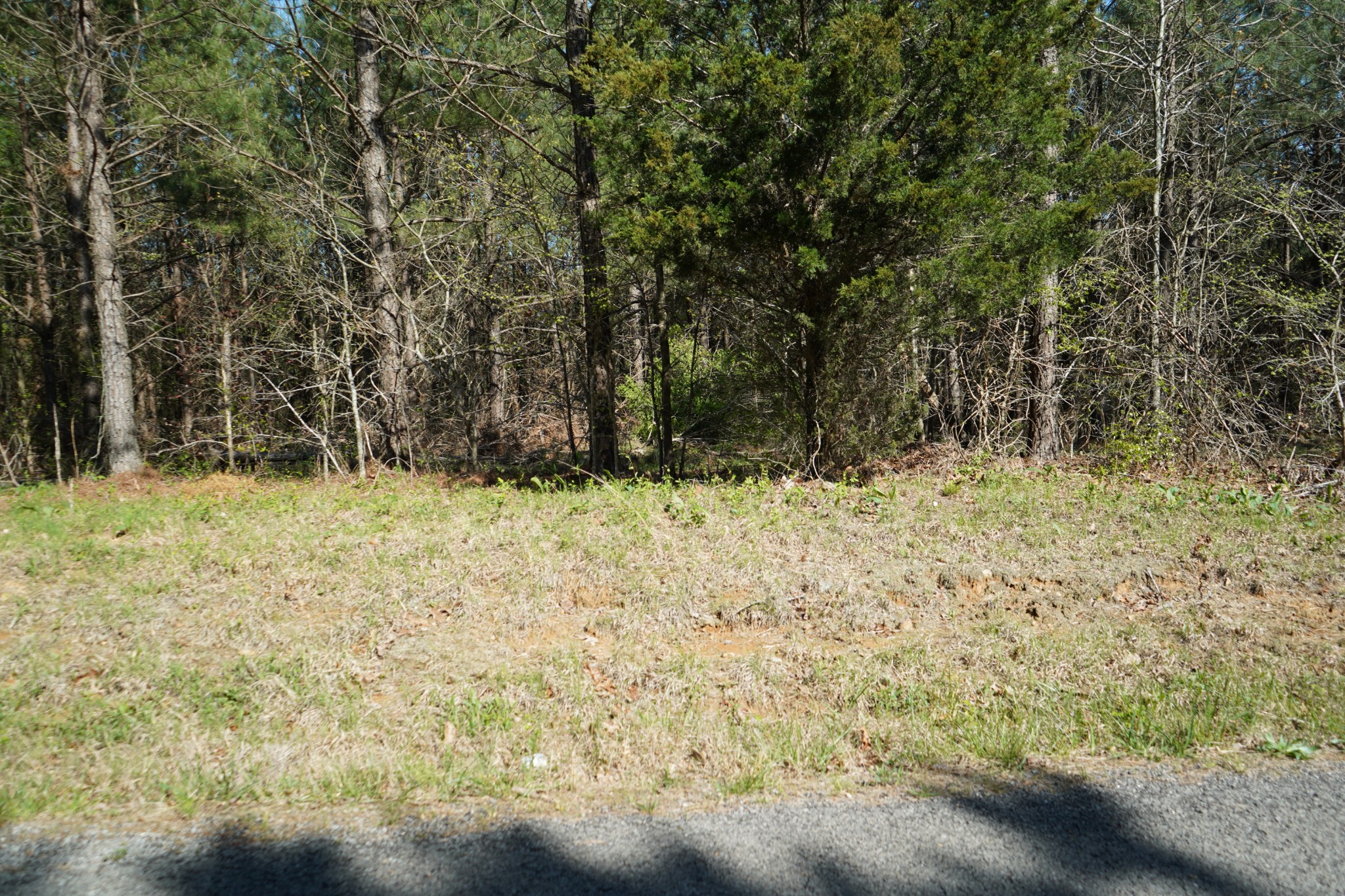 17 Ribbon Branch Road Dover, TN 37058 - Photo 7 of 11 Gallery Image 7