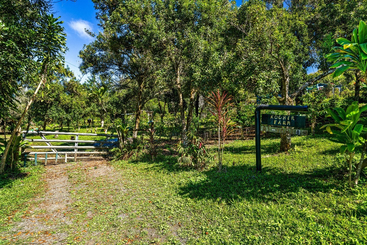 81-1081B Captain Cook Road Captain Cook, HI 96704 - Photo 24 of 24 a view of park