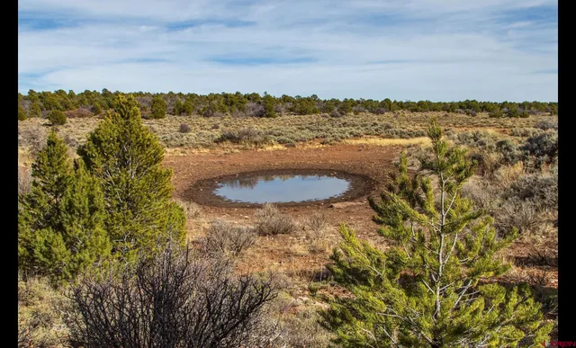 a view of a lake with a mountain in the background