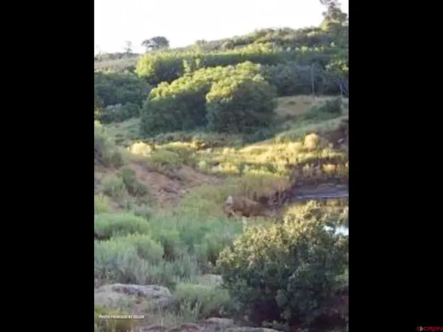 $855,000 | 11204 Hwy 141, Egnar, CO 81325