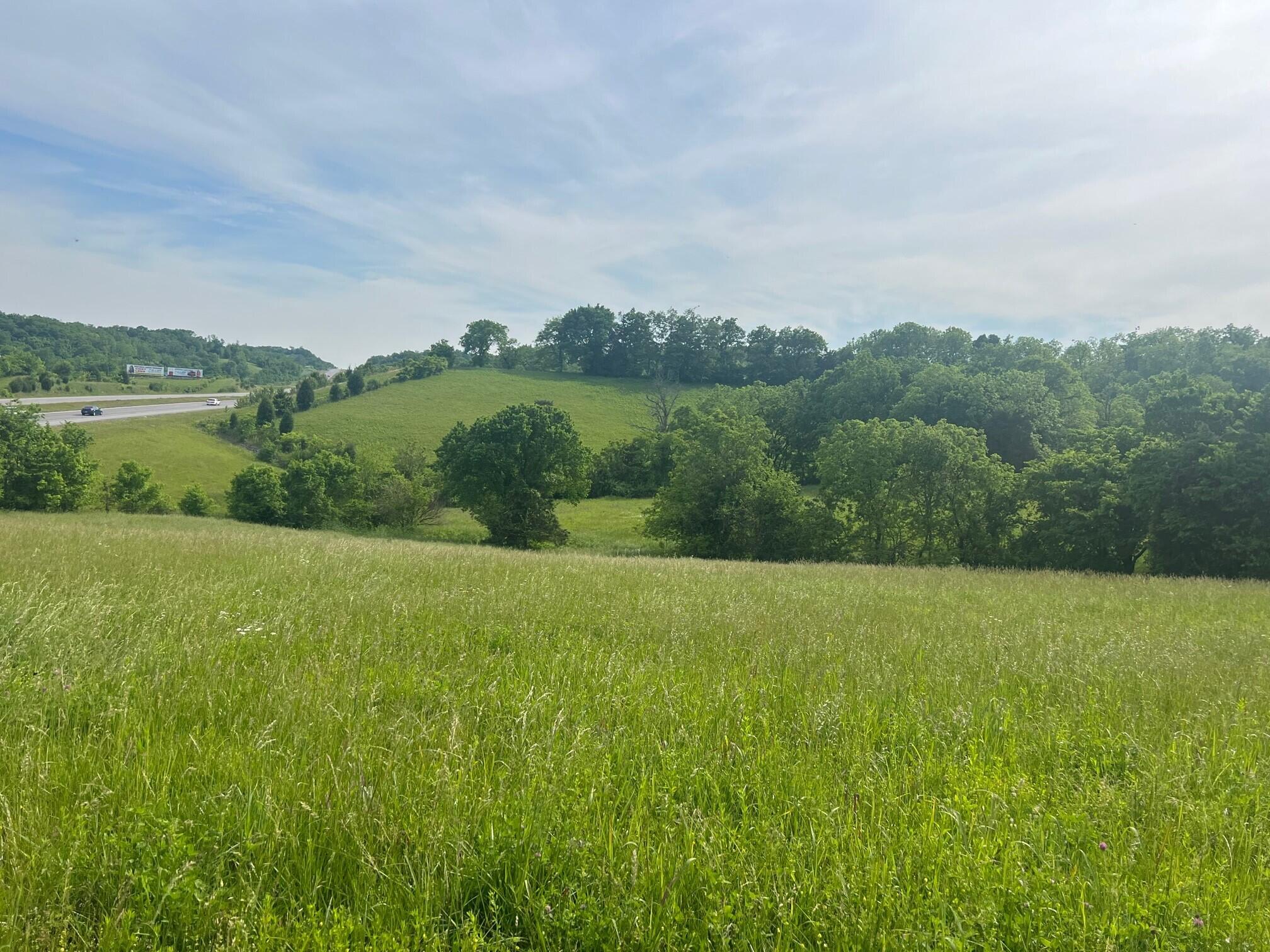 204 Old Lexington Spur Road Lancaster, KY 40444 - Photo 24 of 27 Land 4