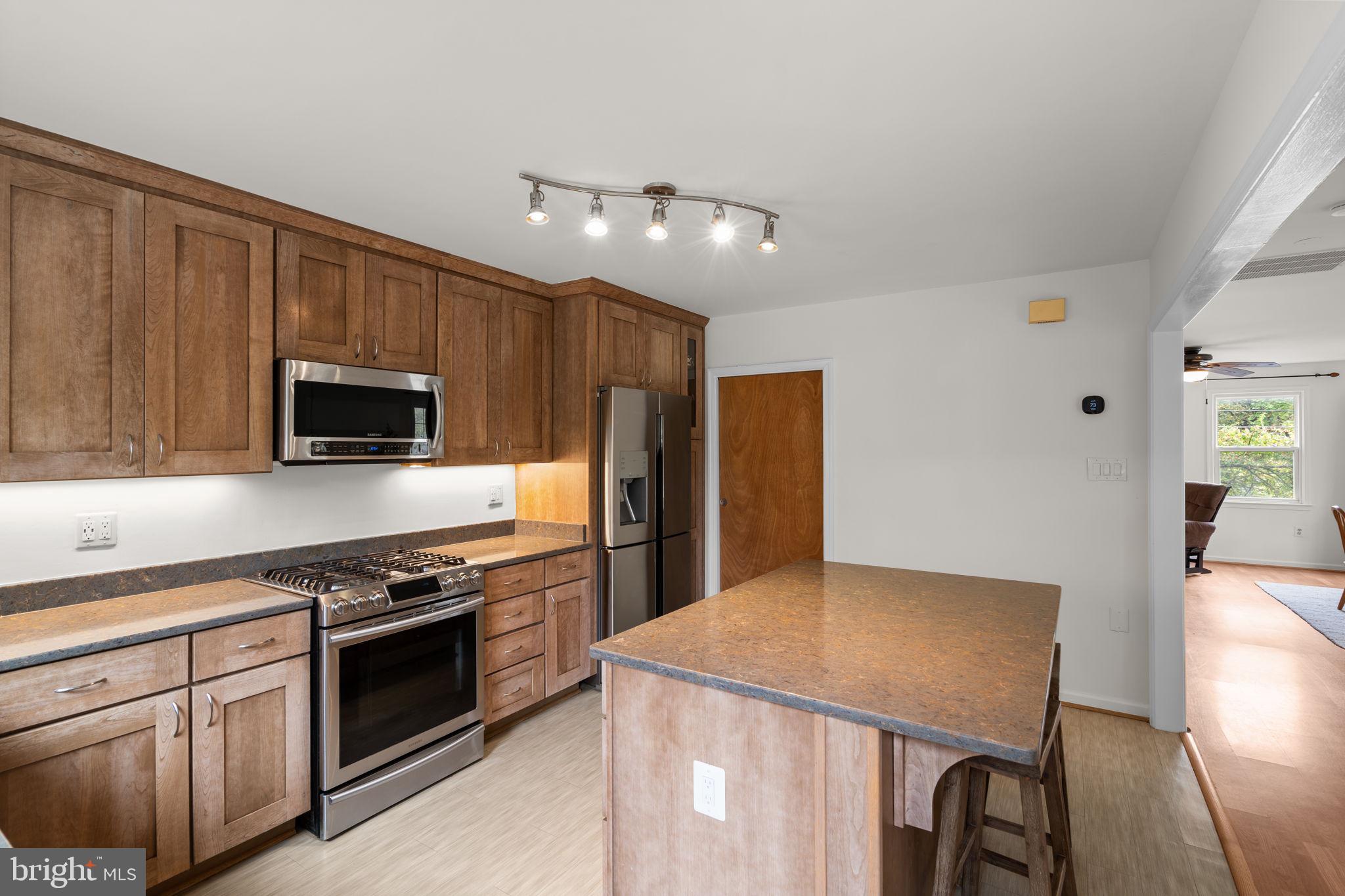 48 Oswego Avenue Silver Spring, MD 20912 - Photo 13 of 32 Beautifully Renovated Kitchen with walk-in Pantry