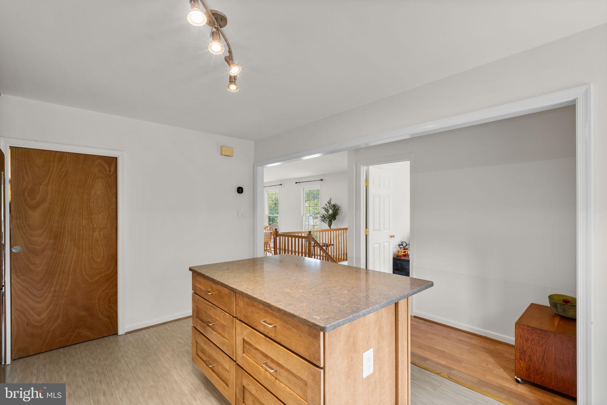 48 Oswego Avenue Silver Spring, MD 20912 - Photo 14 of 32 Beautifully Renovated Kitchen with walk-in Pantry