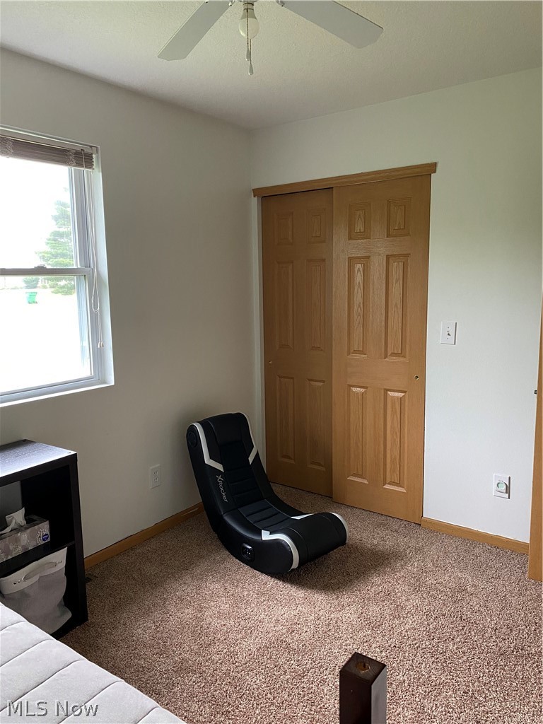 12820 Bottom Road Dresden, OH 43821 - Photo 19 of 32 Gallery Image 19