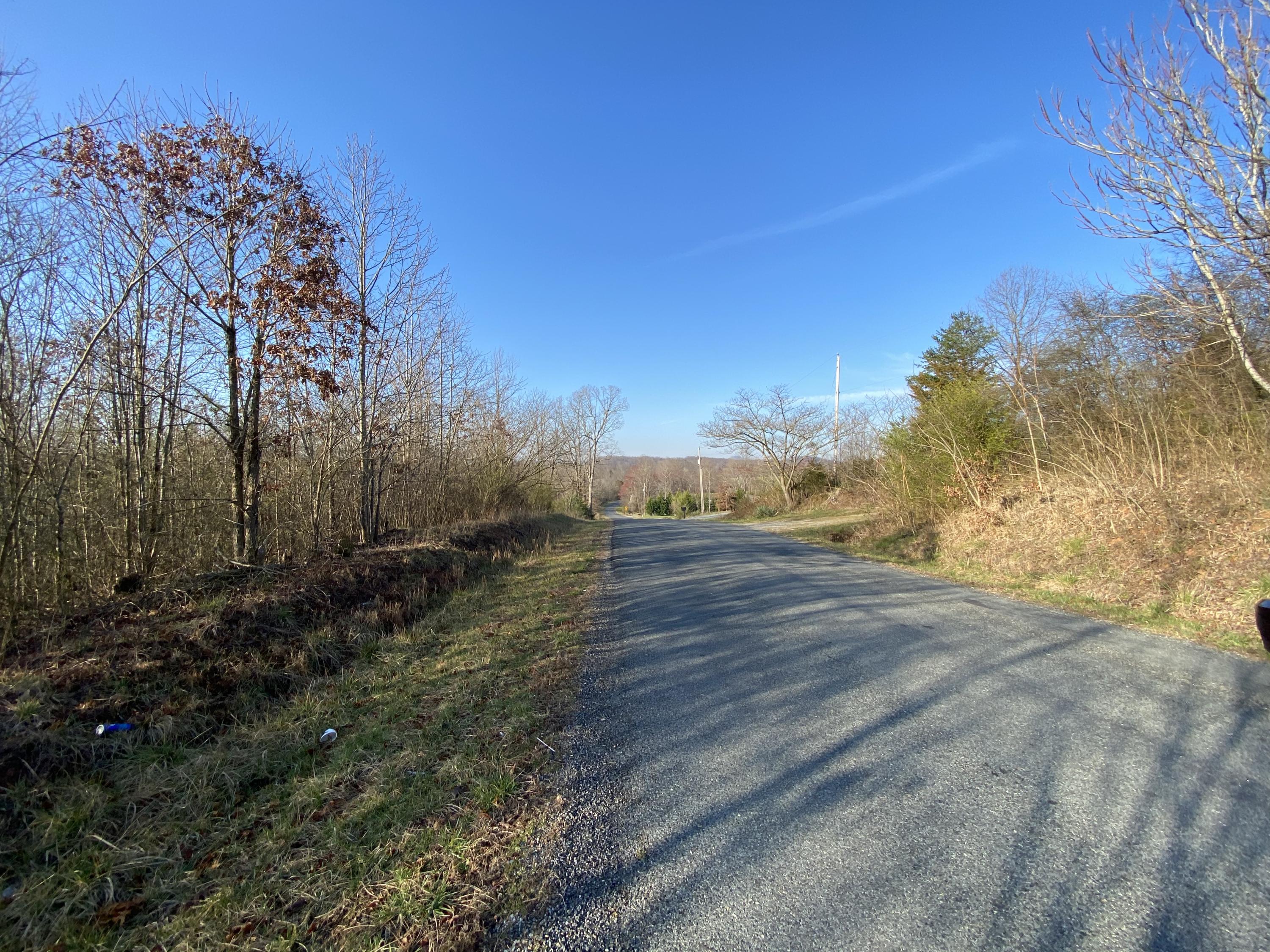 Lot 2 Ledbetter Road Rocky Mount, VA 24151 - Photo 3 of 4 a view of a yard with a tree