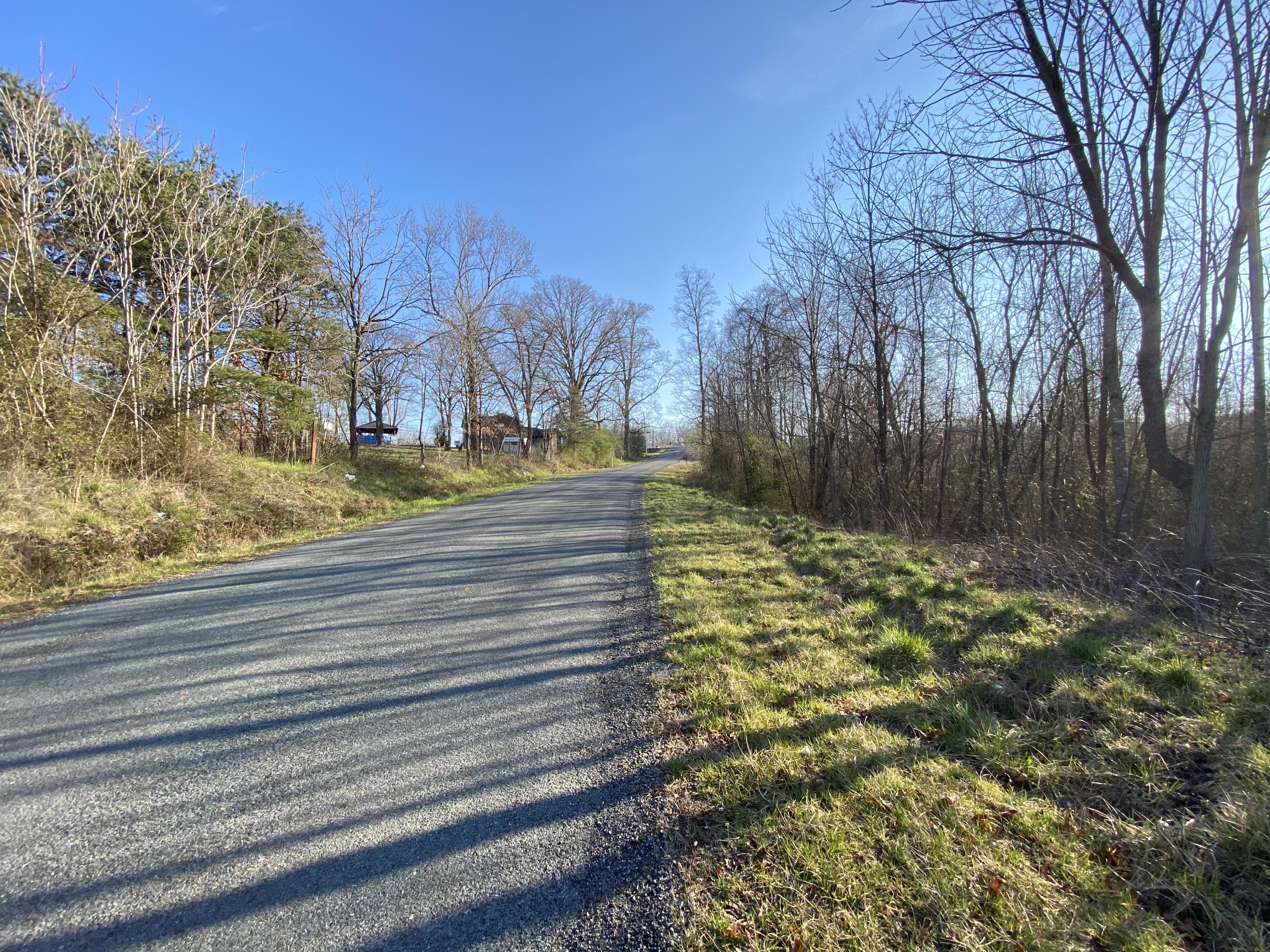 Lot 2 Ledbetter Road Rocky Mount, VA 24151 - Photo 4 of 4 a view of a yard with large trees