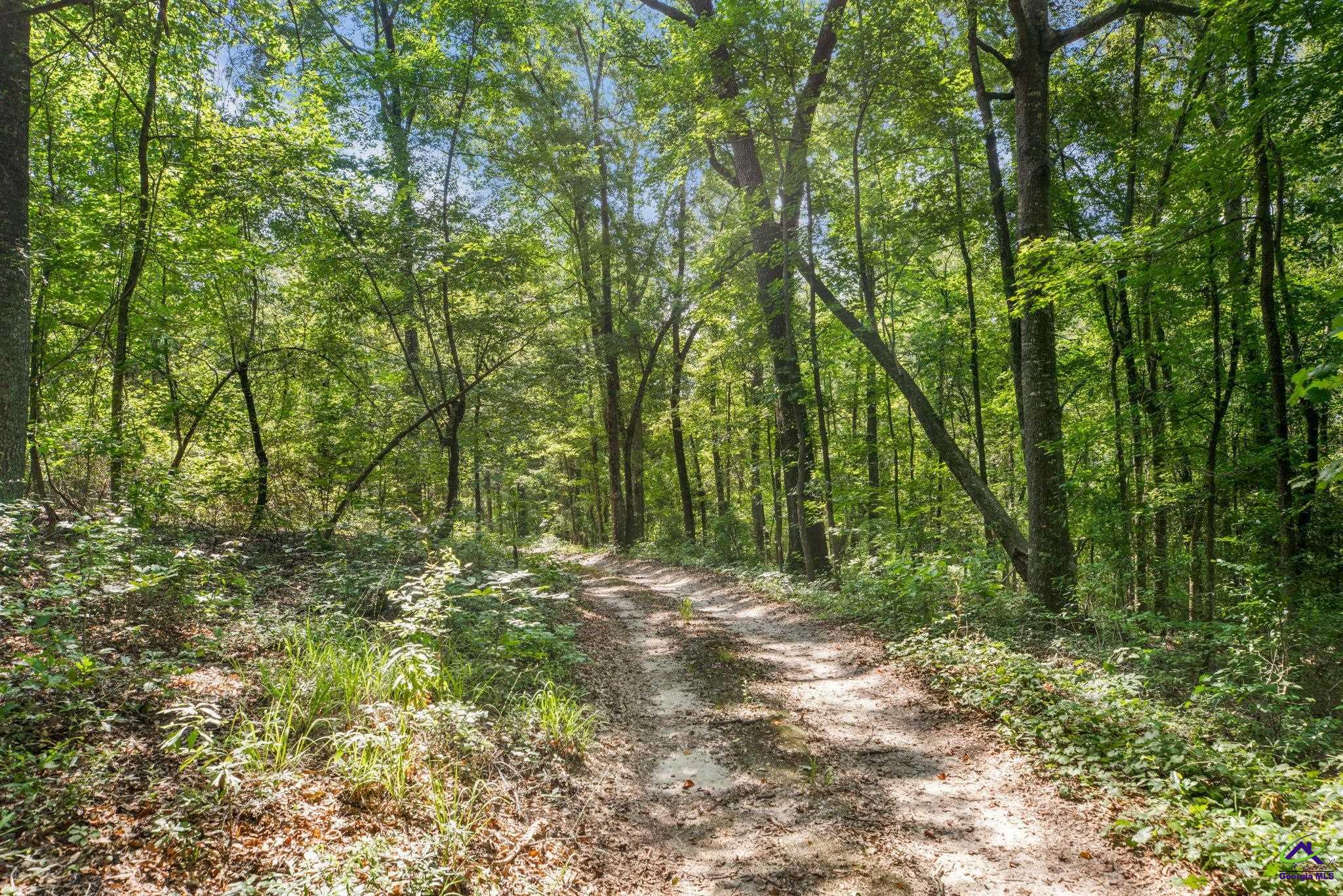 785 Moncrief Road Roberta, GA 31078 - Photo 7 of 29
