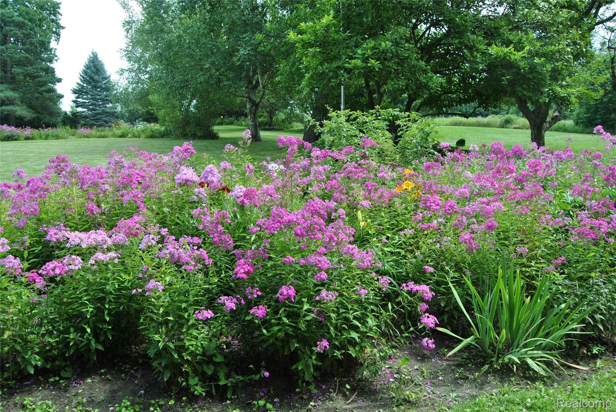 3735 West Oregon Road Lapeer, MI 48446 - Photo 43 of 76 DSC_0002.JPG