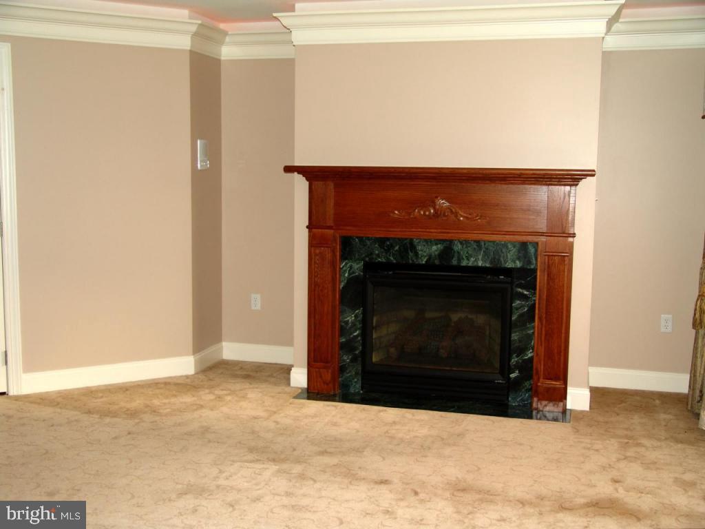 763 Goose Neck Drive Lititz, PA 17543 - Photo 10 of 26 Gallery Image 10