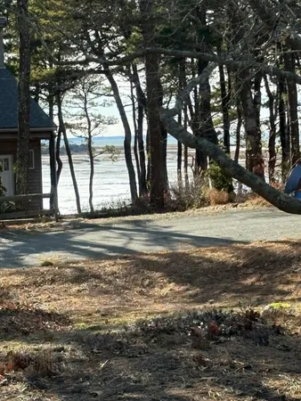 a view of water with large trees