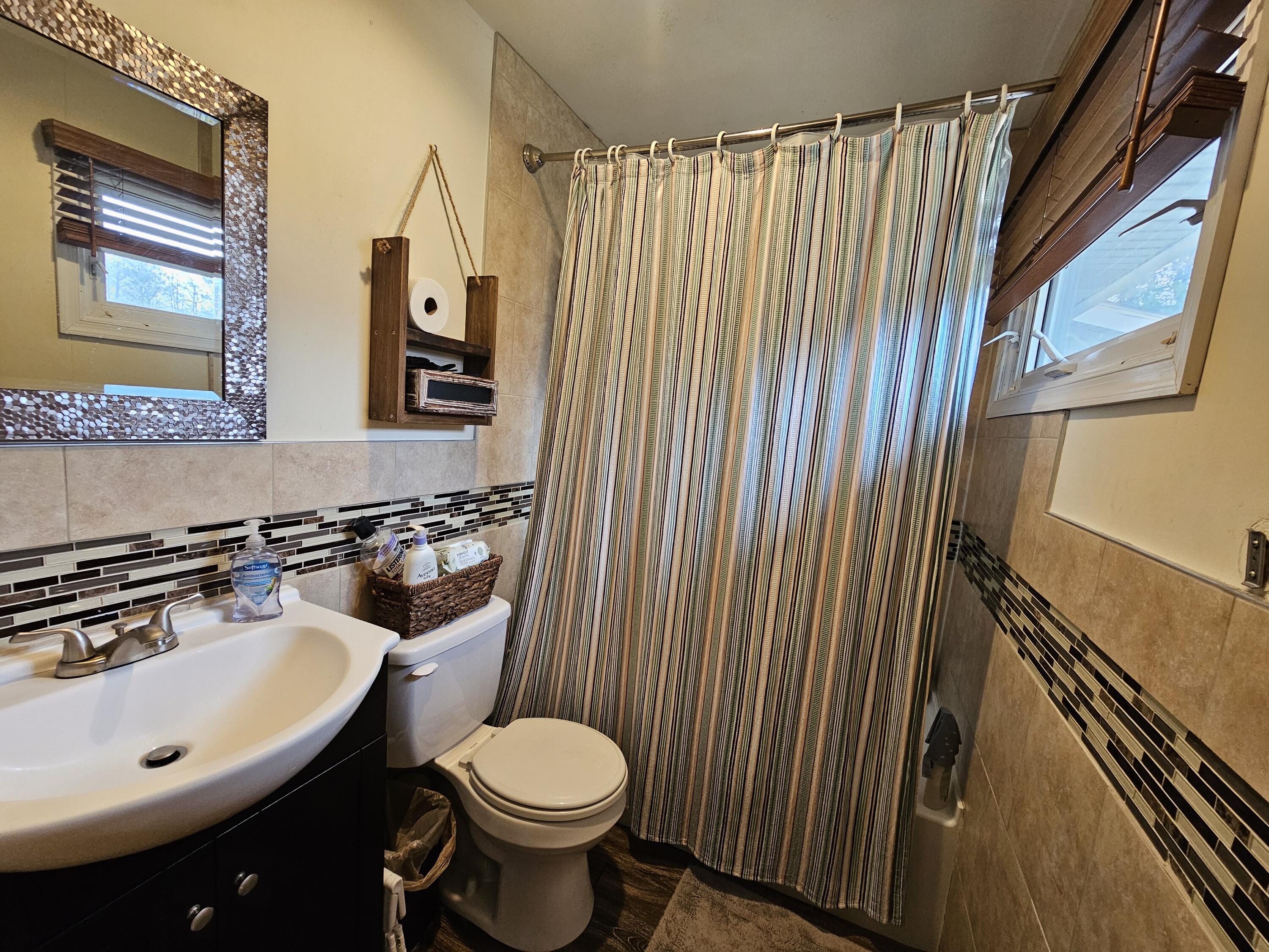 117 Cross Street Pocono Lake, PA 18347 - Photo 24 of 26 a bathroom with a sink a toilet and shower curtain