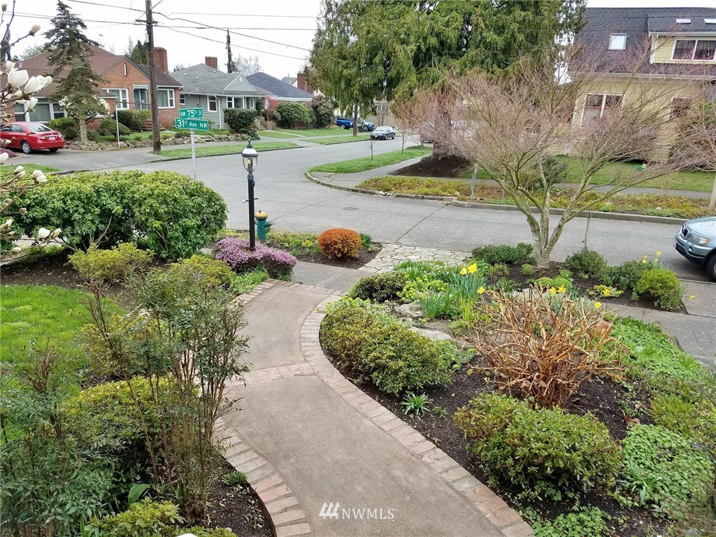 3020 Northwest 75th Street Seattle, WA 98117 - Photo 3 of 22 a view of a park with large trees