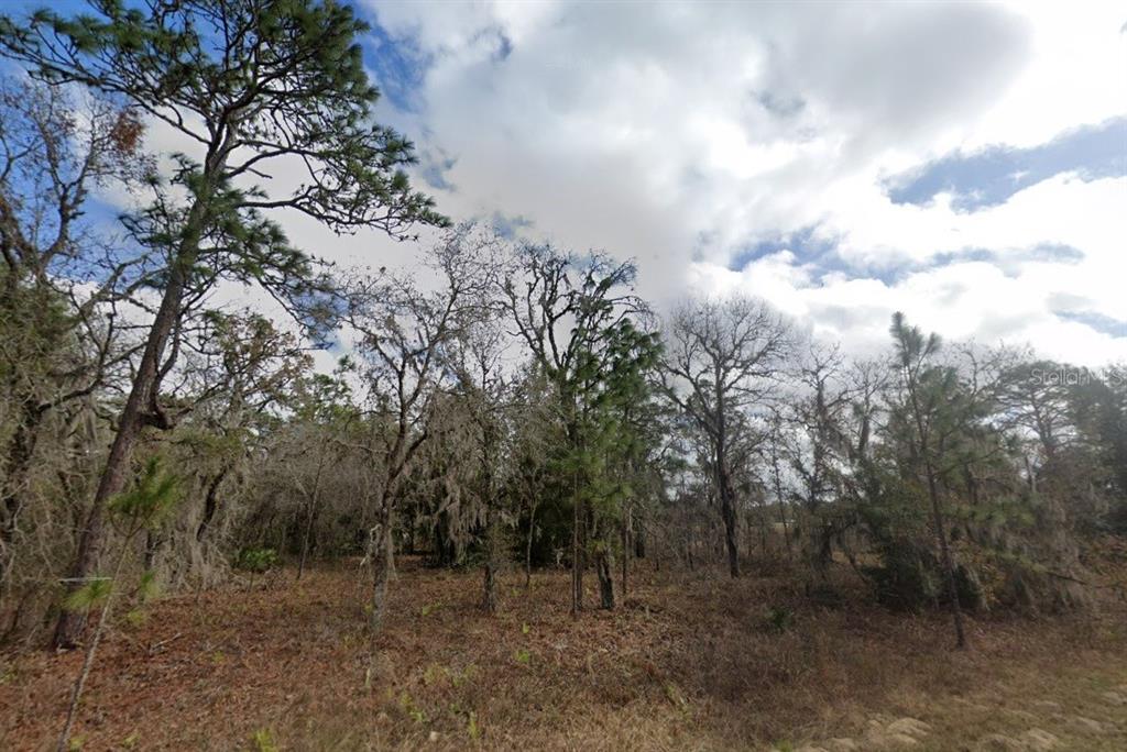 Crider Road Weeki Wachee, FL 34614 - Photo 1 of 3