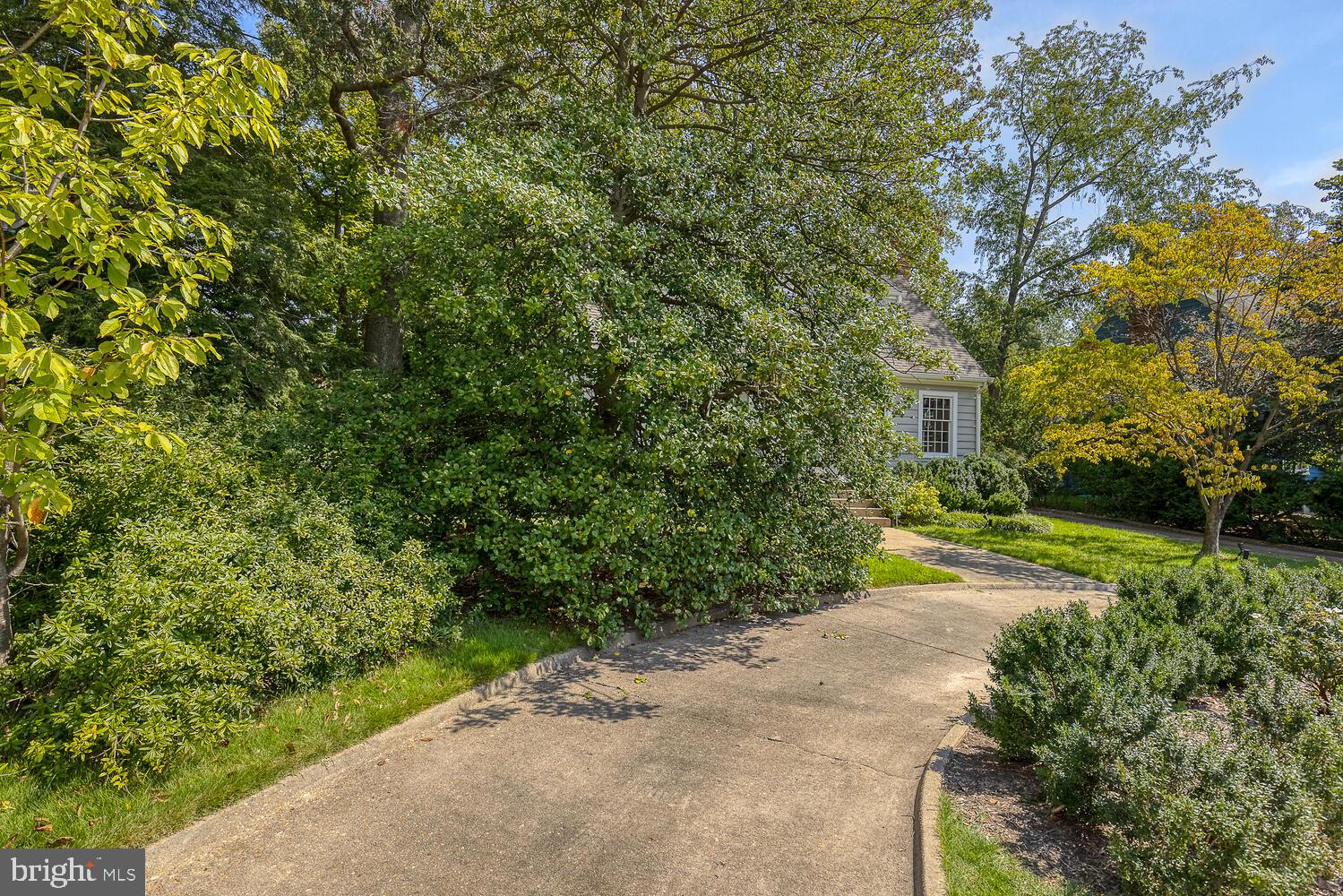 1411 North Glebe Road Arlington, VA 22207 - Photo 14 of 72 Urban oasis nestled in trees w semi circle drive!