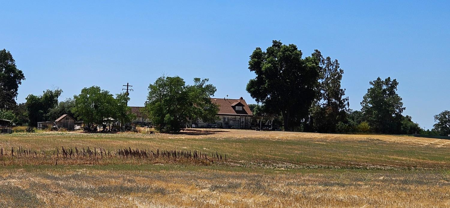 20822 Disch Road Lockeford, CA 95237 - Photo 4 of 30 a view of grassy field with trees